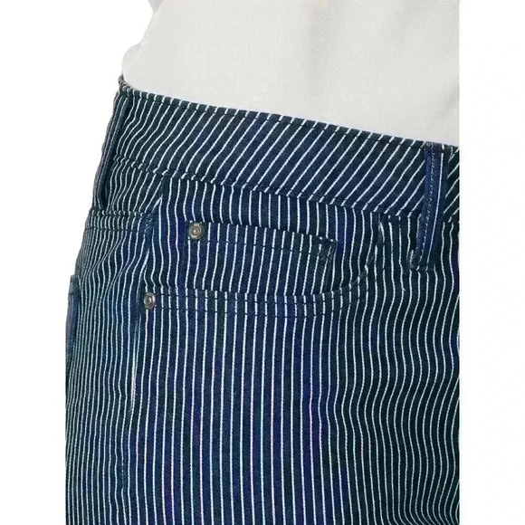 Lee Womens Plus Midrise Regular Fit Blue Railroad Striped Denim Shorts Size 22 M - Picture 5 of 7